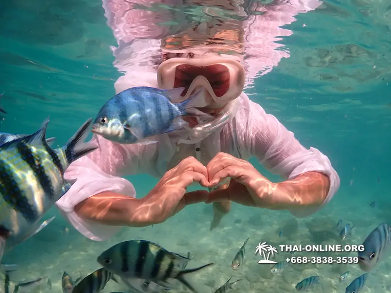 Underwater Odyssey snorkeling tour from Pattaya Thailand photo 14320
