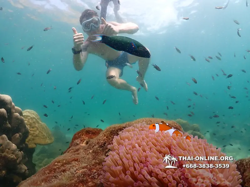 Underwater Odyssey snorkeling tour from Pattaya Thailand photo 18362