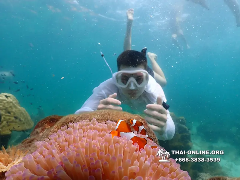 Underwater Odyssey snorkeling tour from Pattaya Thailand photo 18404