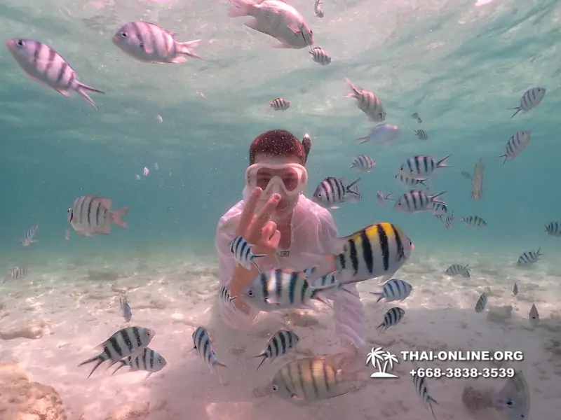 Underwater Odyssey snorkeling tour from Pattaya Thailand photo 18623