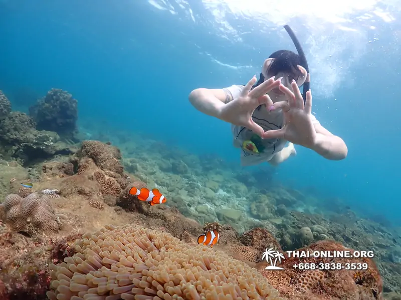 Underwater Odyssey snorkeling excursion Pattaya Thailand photo 11404