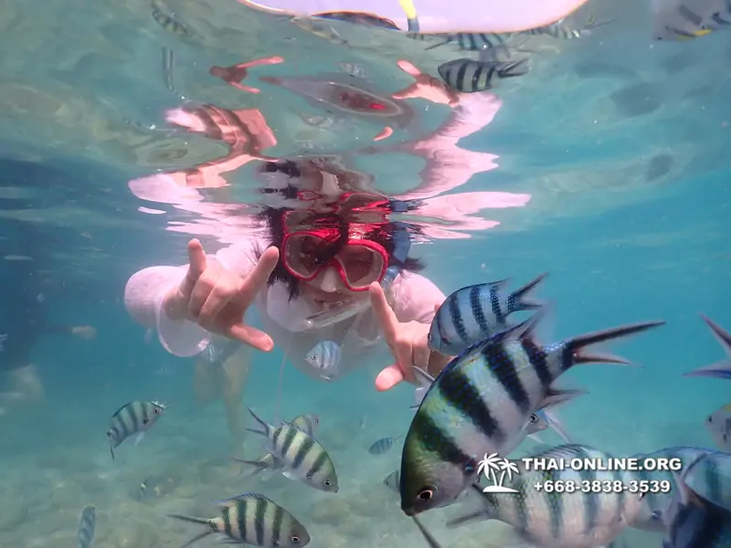 Underwater Odyssey snorkeling tour from Pattaya Thailand photo 14561
