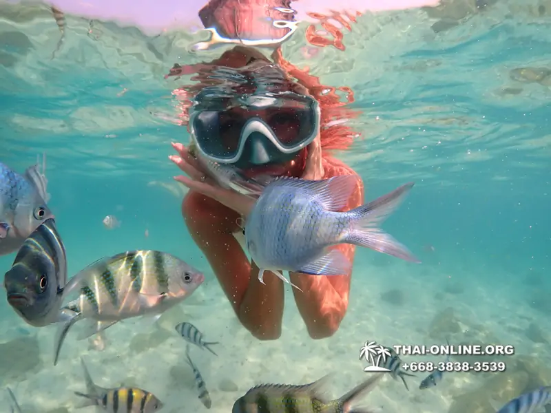 Underwater Odyssey snorkeling tour from Pattaya Thailand photo 14417