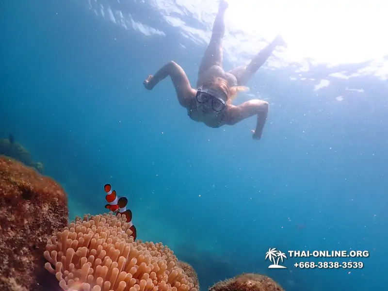 Underwater Odyssey snorkeling excursion in Pattaya Thailand photo 1044