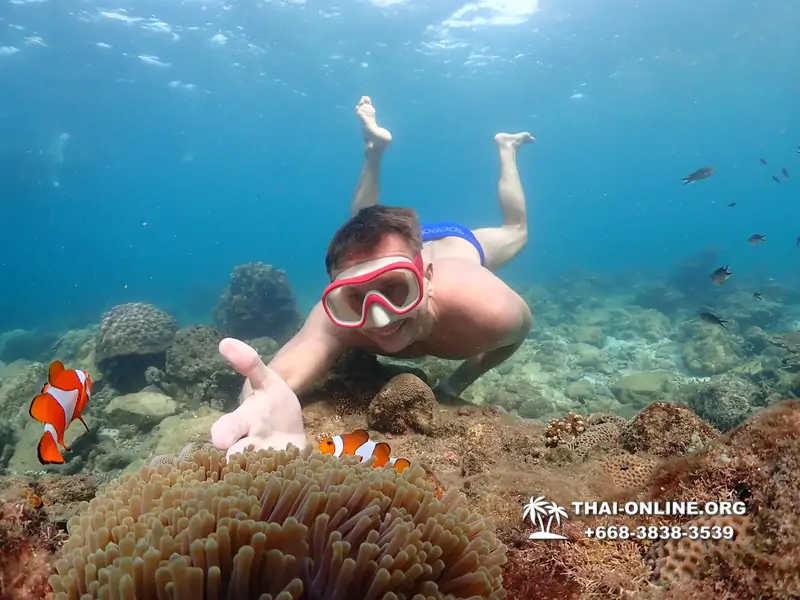 Underwater Odyssey snorkeling excursion Pattaya Thailand photo 11425