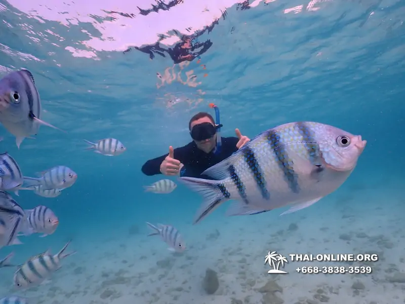 Underwater Odyssey snorkeling excursion Pattaya Thailand photo 11143