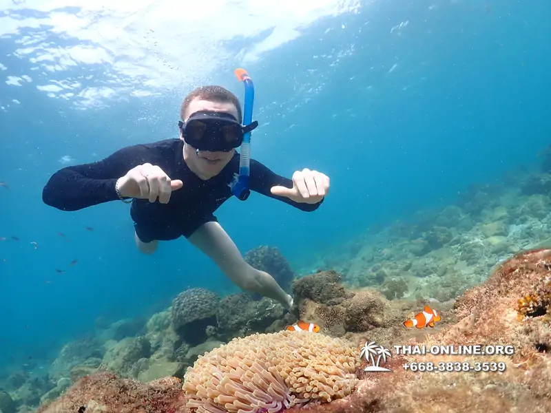 Underwater Odyssey snorkeling excursion Pattaya Thailand photo 11378