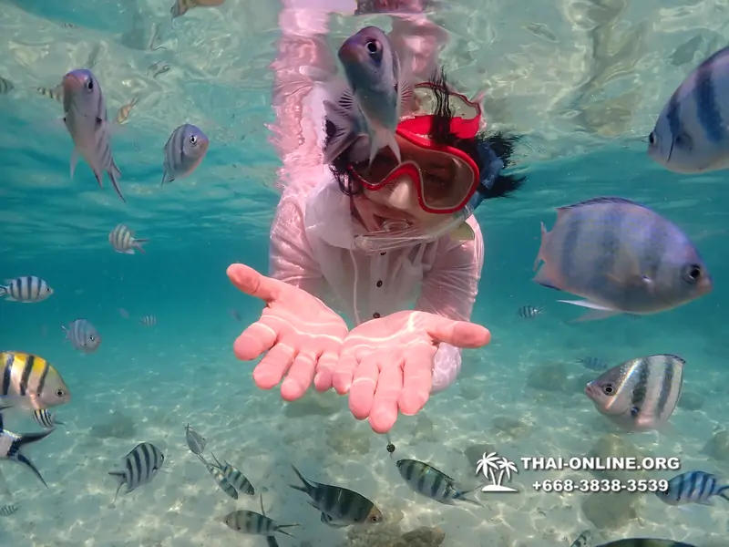 Underwater Odyssey snorkeling tour from Pattaya Thailand photo 14291