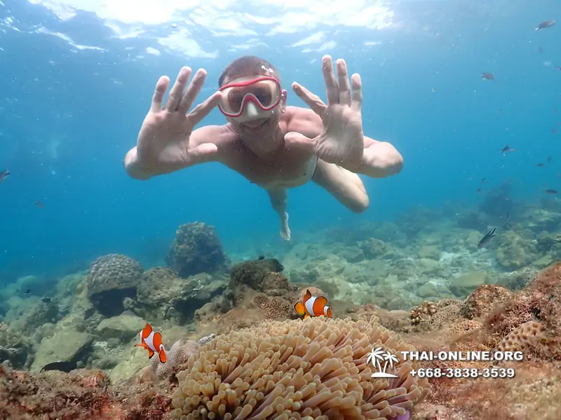 Underwater Odyssey snorkeling excursion Pattaya Thailand photo 11428