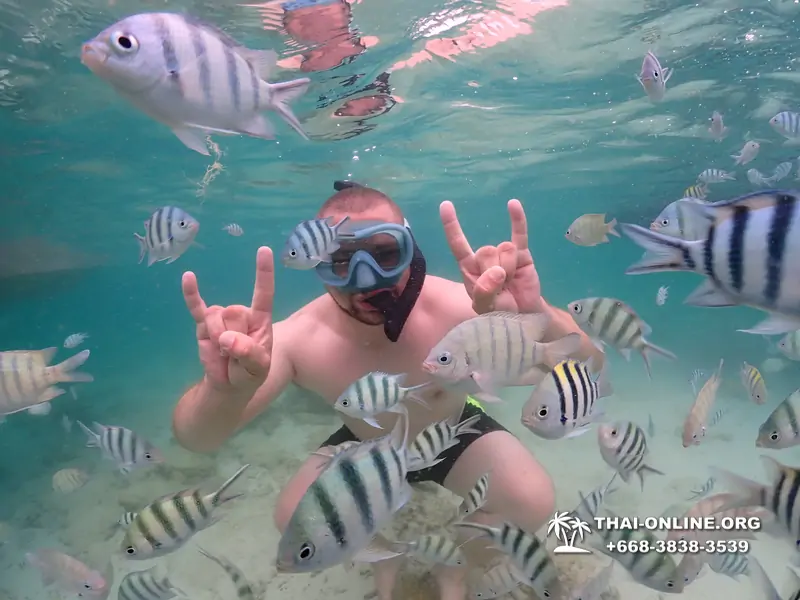 Underwater Odyssey snorkeling excursion in Pattaya Thailand photo 103