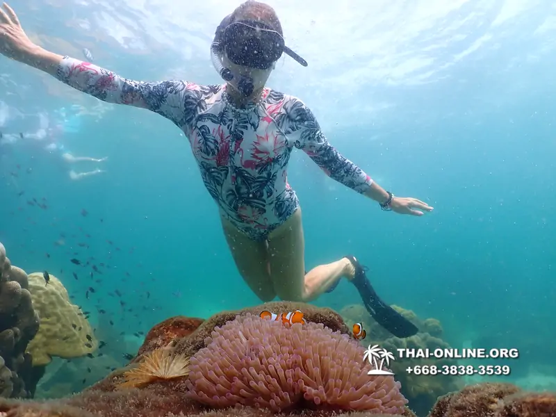 Underwater Odyssey snorkeling tour from Pattaya Thailand photo 18272