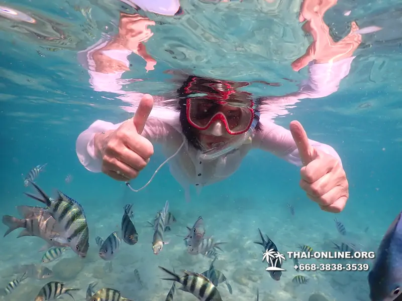 Underwater Odyssey snorkeling tour from Pattaya Thailand photo 14337