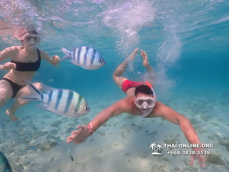 Underwater Odyssey snorkeling excursion Pattaya Thailand photo 11047