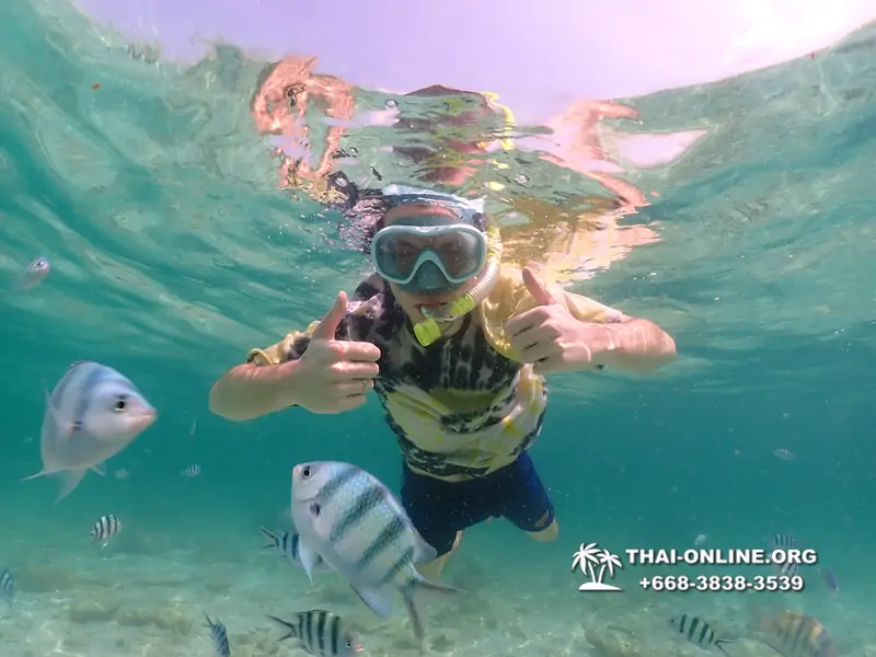 Underwater Odyssey snorkeling tour from Pattaya Thailand photo 18434