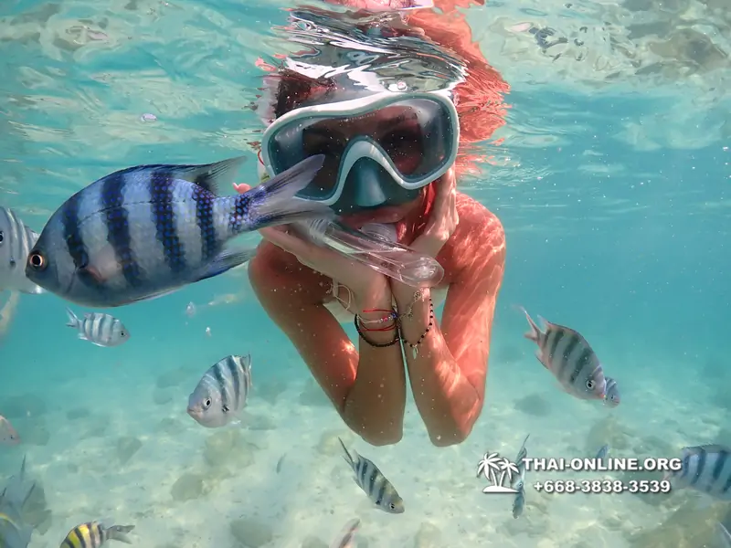 Underwater Odyssey snorkeling tour from Pattaya Thailand photo 14169