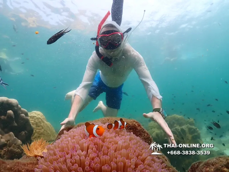 Underwater Odyssey snorkeling tour from Pattaya Thailand photo 18369