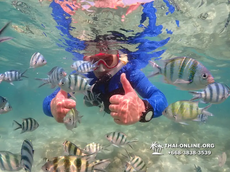 Underwater Odyssey snorkeling excursion Pattaya Thailand photo 14733