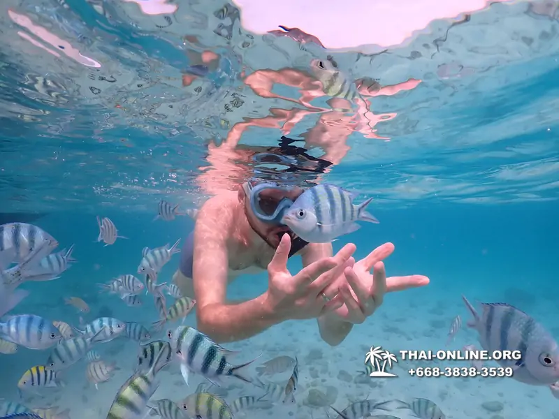 Underwater Odyssey snorkeling excursion Pattaya Thailand photo 11059