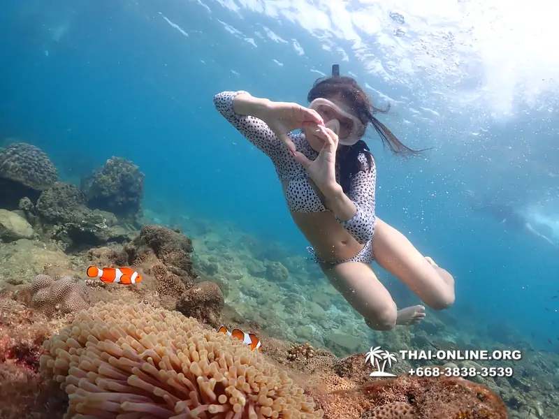 Underwater Odyssey snorkeling excursion Pattaya Thailand photo 11355