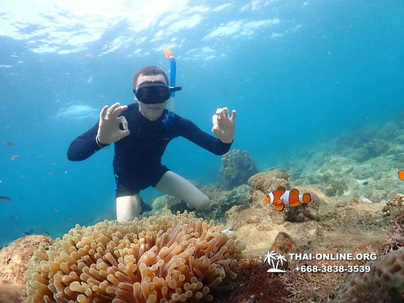 Underwater Odyssey snorkeling excursion Pattaya Thailand photo 11386