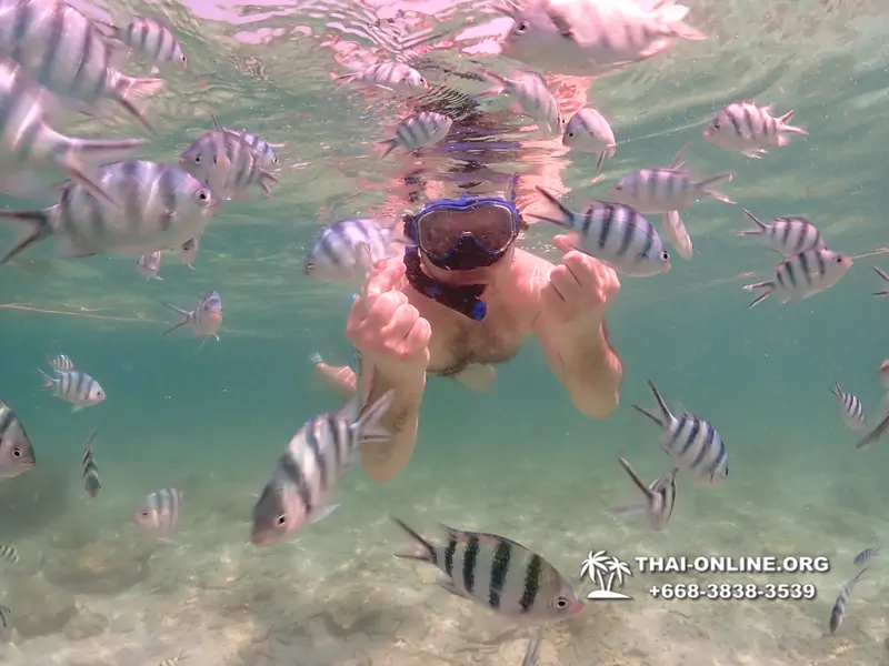 Underwater Odyssey snorkeling tour from Pattaya Thailand photo 18422