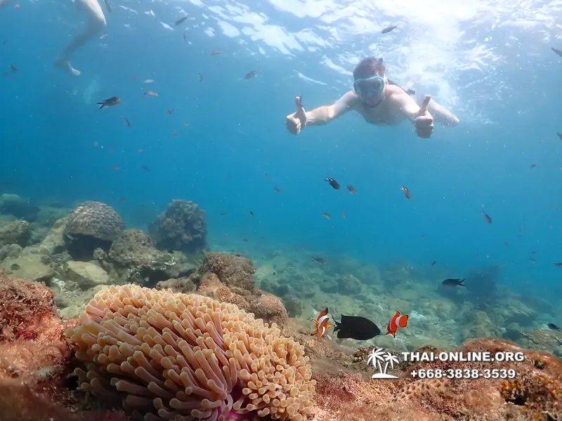 Underwater Odyssey snorkeling excursion Pattaya Thailand photo 11343