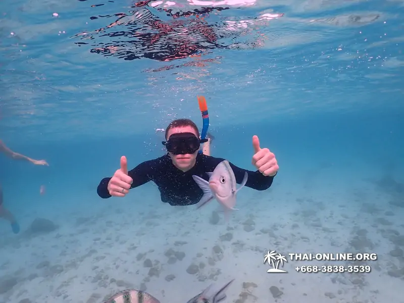 Underwater Odyssey snorkeling excursion Pattaya Thailand photo 11148