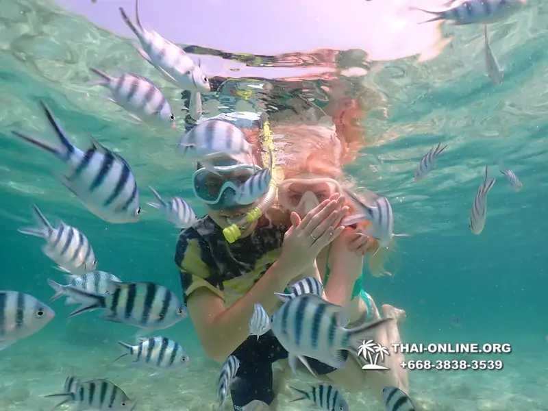 Underwater Odyssey snorkeling tour from Pattaya Thailand photo 18274