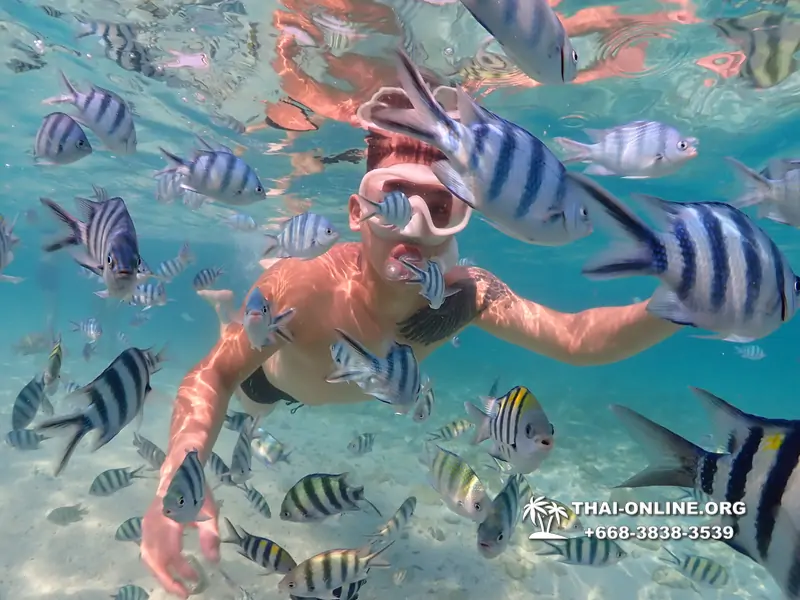 Underwater Odyssey snorkeling excursion Pattaya Thailand photo 11268