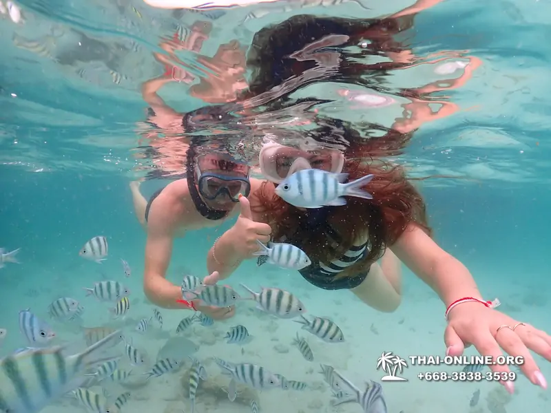 Pattaya snorkeling tour Underwater Odyssey at Samae San Archipelago in Thailand - photo 1