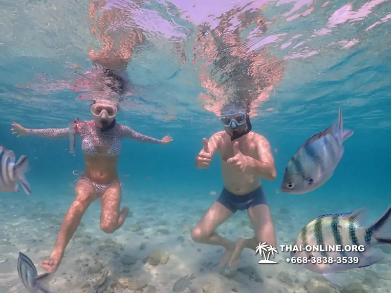 Underwater Odyssey snorkeling excursion Pattaya Thailand photo 11072