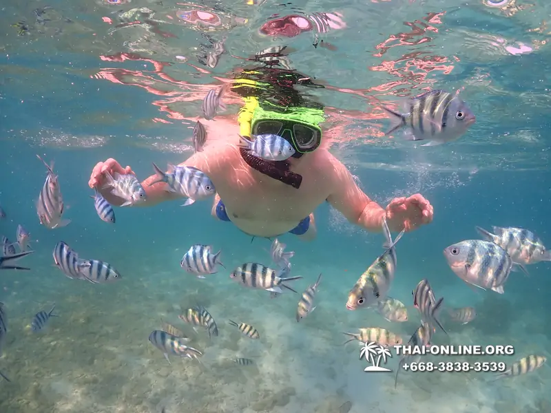 Underwater Odyssey snorkeling excursion Pattaya Thailand photo 11579