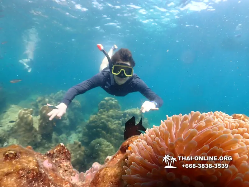 Underwater Odyssey snorkeling tour from Pattaya Thailand photo 14442