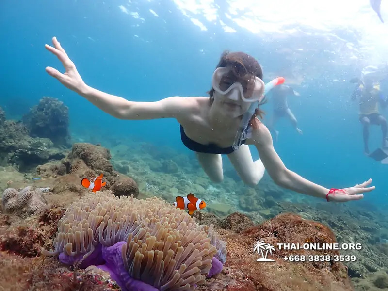 Underwater Odyssey snorkeling excursion Pattaya Thailand photo 11431