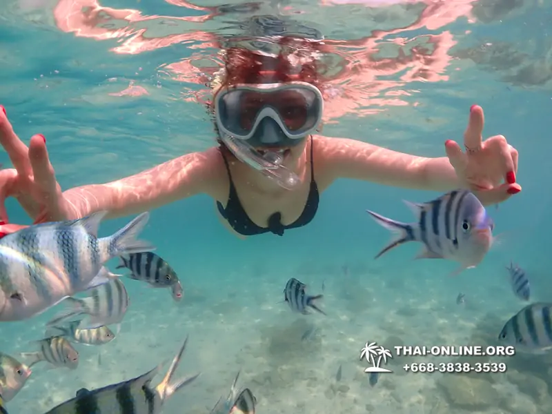 Underwater Odyssey snorkeling tour from Pattaya Thailand photo 14449
