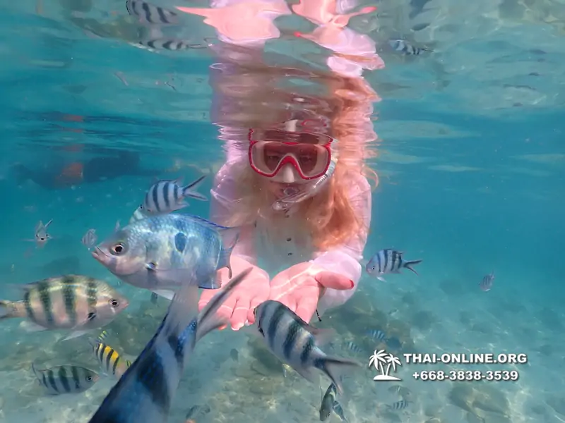 Underwater Odyssey snorkeling tour from Pattaya Thailand photo 14577