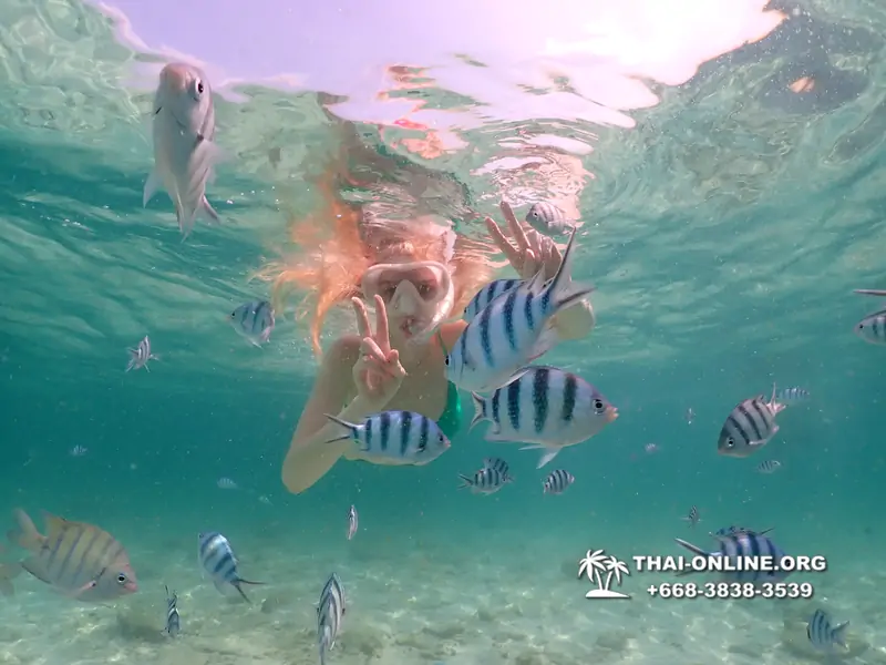 Underwater Odyssey snorkeling tour from Pattaya Thailand photo 18534