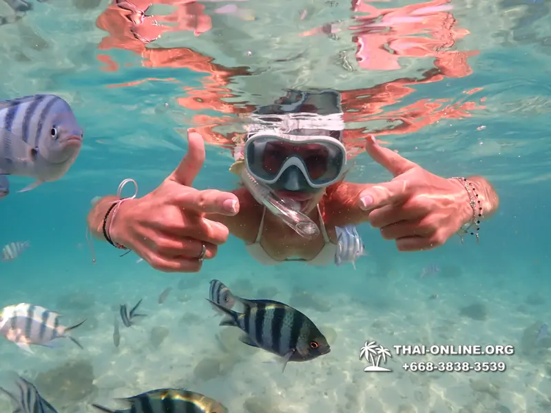 Underwater Odyssey snorkeling tour from Pattaya Thailand photo 14415