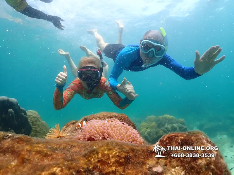 Underwater Odyssey snorkeling excursion Pattaya Thailand photo 14831