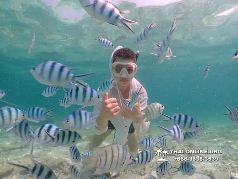 Underwater Odyssey snorkeling tour from Pattaya Thailand photo 18337