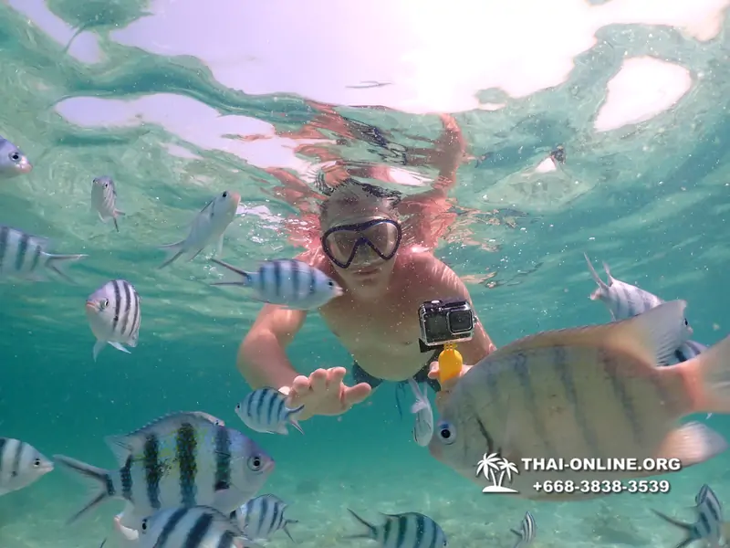 Underwater Odyssey snorkeling tour from Pattaya Thailand photo 18387