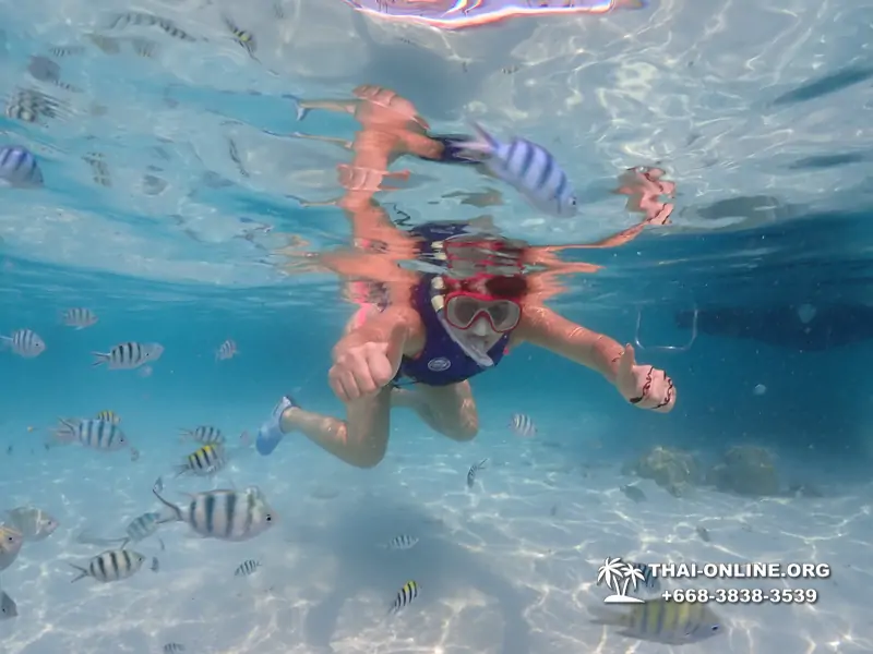 Underwater Odyssey snorkeling excursion in Pattaya Thailand photo 1014