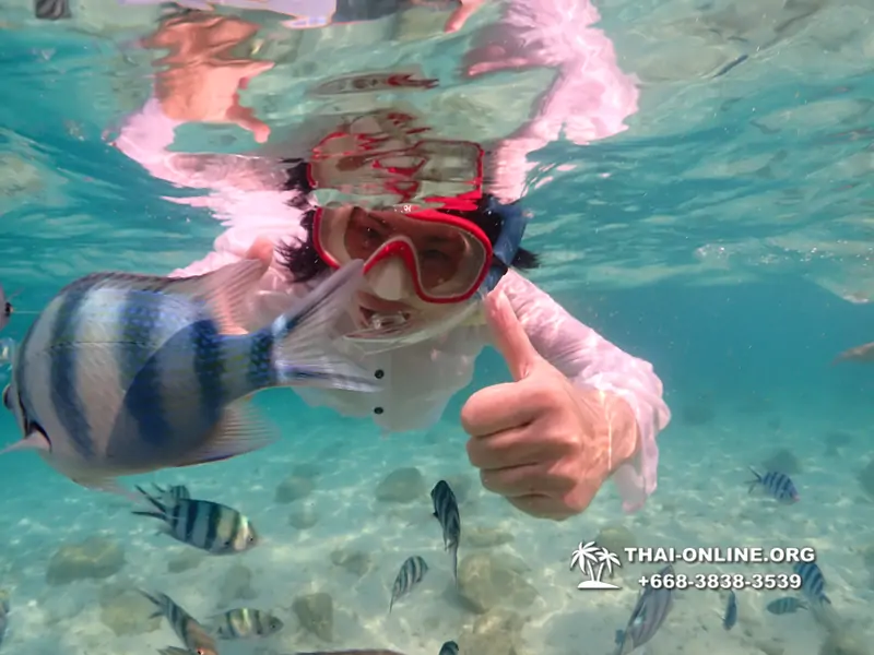 Underwater Odyssey snorkeling tour from Pattaya Thailand photo 14468