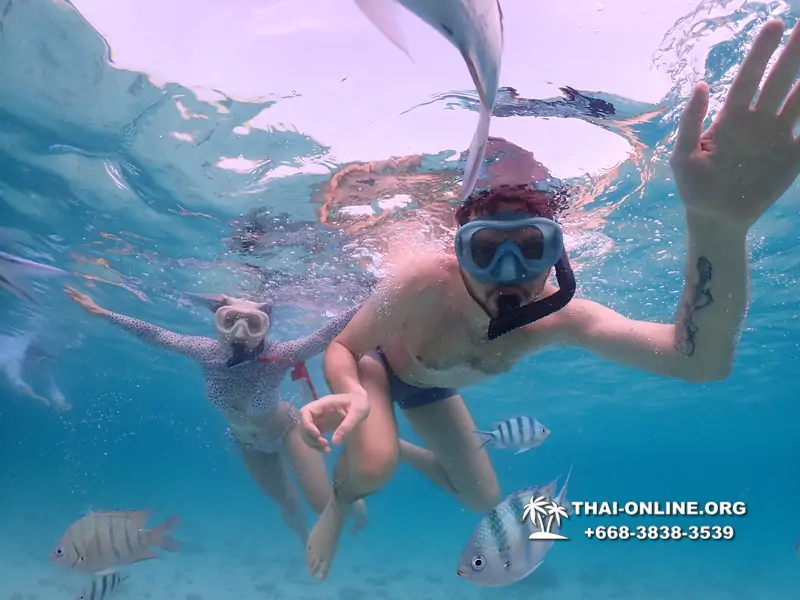 Underwater Odyssey snorkeling excursion Pattaya Thailand photo 11084