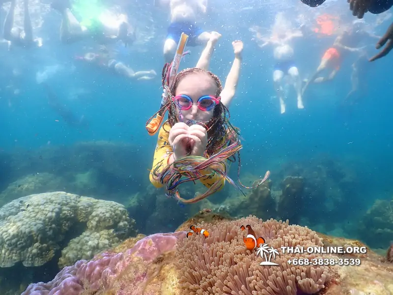 Underwater Odyssey snorkeling excursion Pattaya Thailand photo 11553