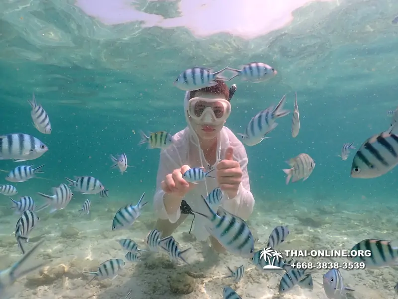 Underwater Odyssey snorkeling tour from Pattaya Thailand photo 18345