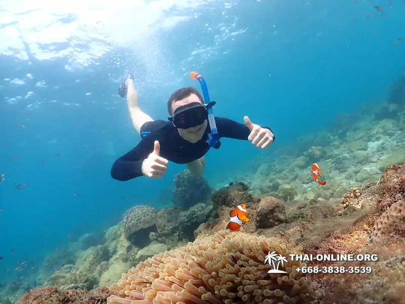 Underwater Odyssey snorkeling excursion Pattaya Thailand photo 11374