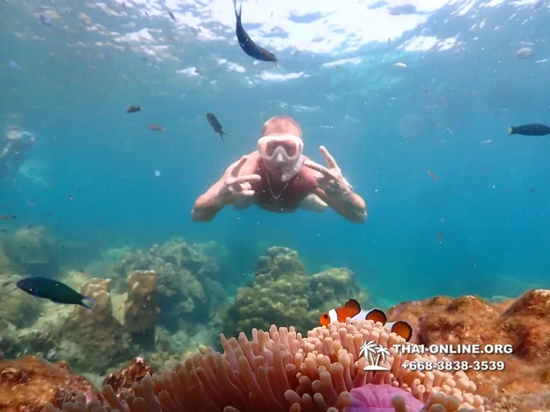 Underwater Odyssey snorkeling tour from Pattaya Thailand photo 14534