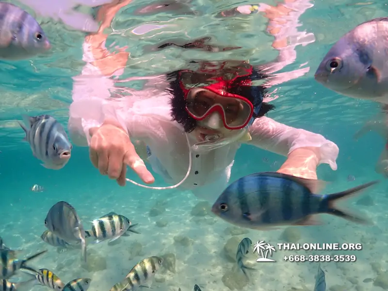 Underwater Odyssey snorkeling excursion Pattaya Thailand photo 14224