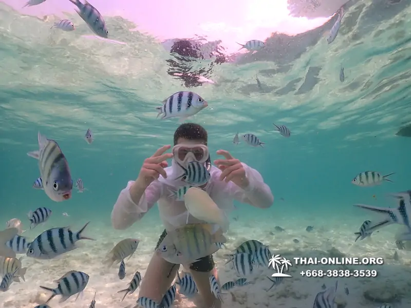 Underwater Odyssey snorkeling tour from Pattaya Thailand photo 18361